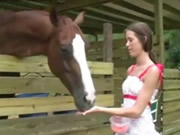 Cô gái cho ngựa ăn